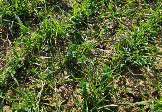 Terénní zajímavosti